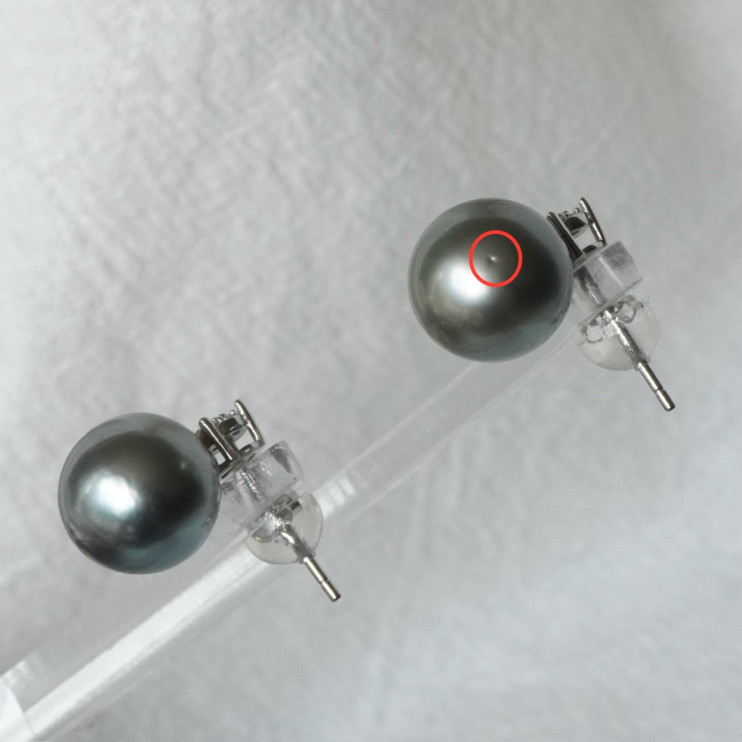 10.5mm Tahitian Pearl Earring #112