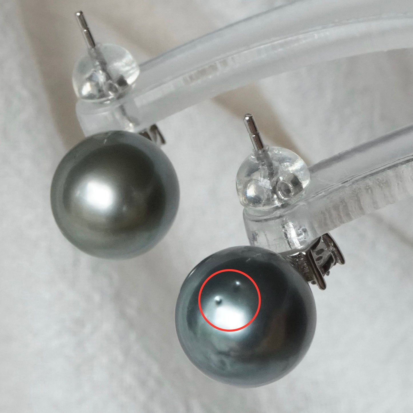 10.5mm Tahitian Pearl Earring #112